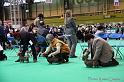 Crufts2011_2 1557